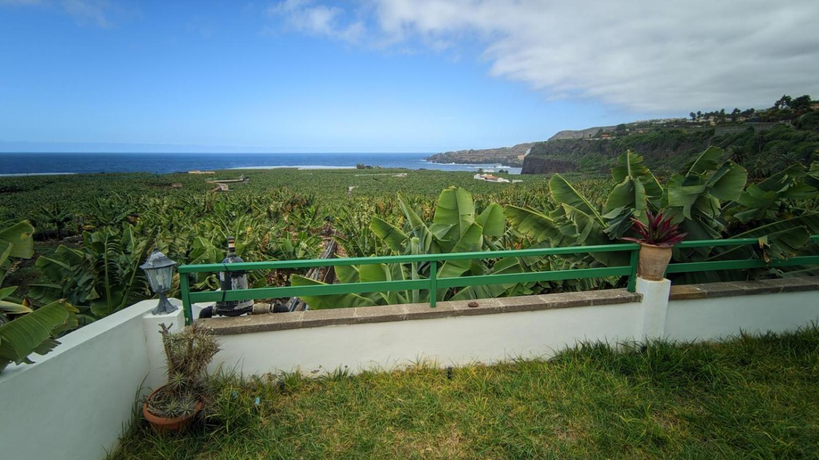 Terrazas Malpais - El Guincho, Garachico Lägenhet Garachico  Exteriör bild